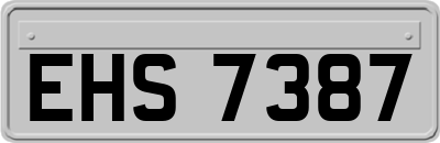 EHS7387