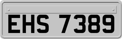 EHS7389
