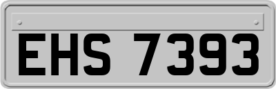 EHS7393