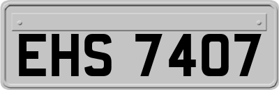 EHS7407