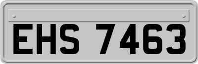 EHS7463