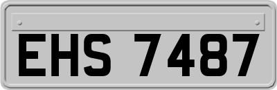 EHS7487