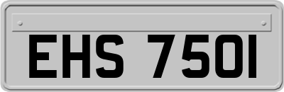 EHS7501