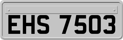 EHS7503