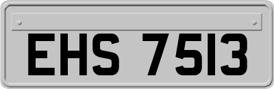 EHS7513