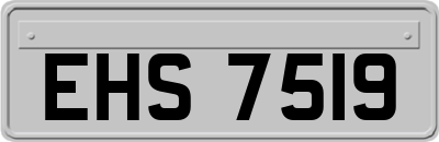EHS7519