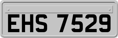 EHS7529