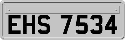 EHS7534