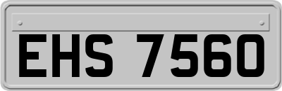 EHS7560