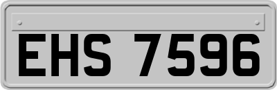 EHS7596