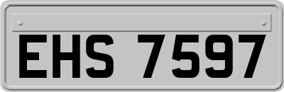 EHS7597