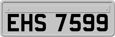 EHS7599