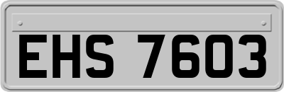 EHS7603