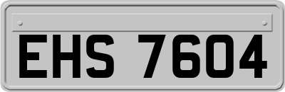 EHS7604