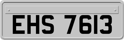EHS7613