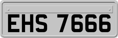 EHS7666