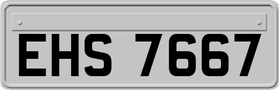 EHS7667