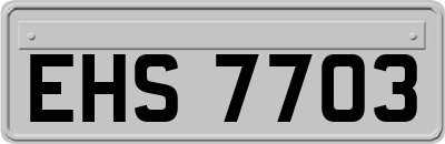 EHS7703