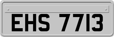 EHS7713