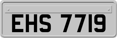 EHS7719
