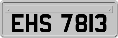 EHS7813