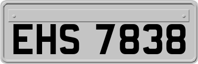 EHS7838