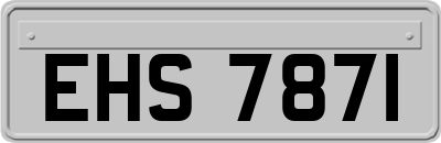 EHS7871