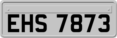 EHS7873