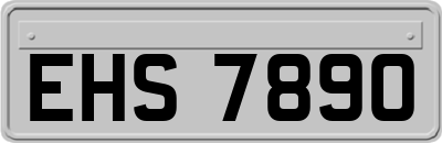 EHS7890