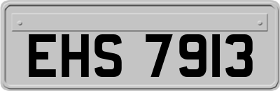 EHS7913