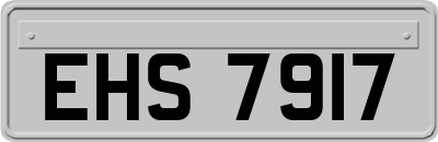 EHS7917