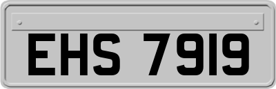 EHS7919