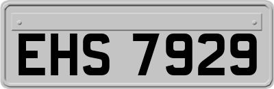 EHS7929