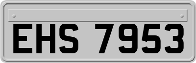 EHS7953