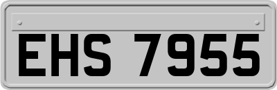 EHS7955