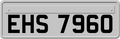 EHS7960