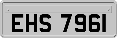 EHS7961