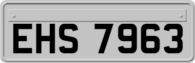 EHS7963