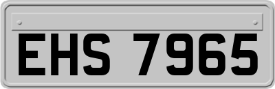EHS7965