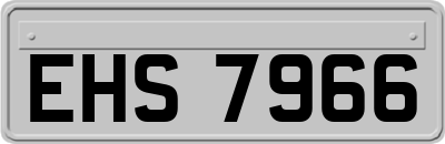 EHS7966
