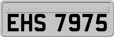 EHS7975