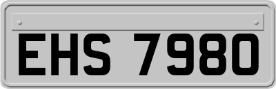 EHS7980