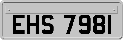 EHS7981