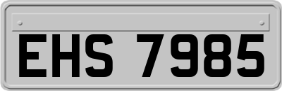 EHS7985