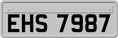 EHS7987