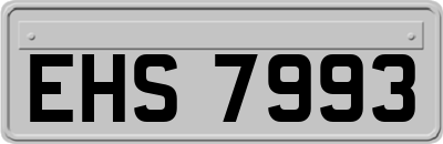 EHS7993