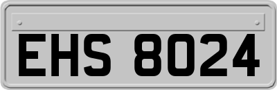 EHS8024