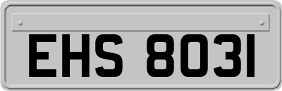 EHS8031