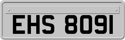 EHS8091