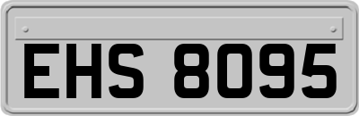 EHS8095